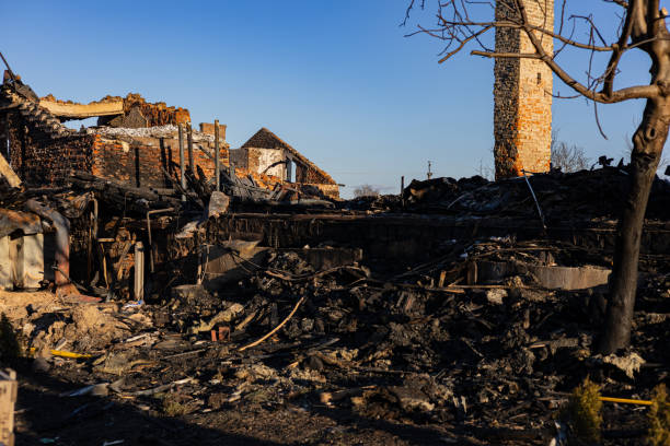 Reliable Fire Damage Repair contractor in Chandler, AZ by Fire Damage Doption